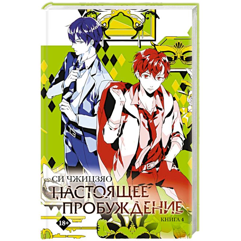 Настоящее пробуждение. Real Awakening. Книга 4