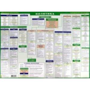 Политика. Готовимся к экзаменам