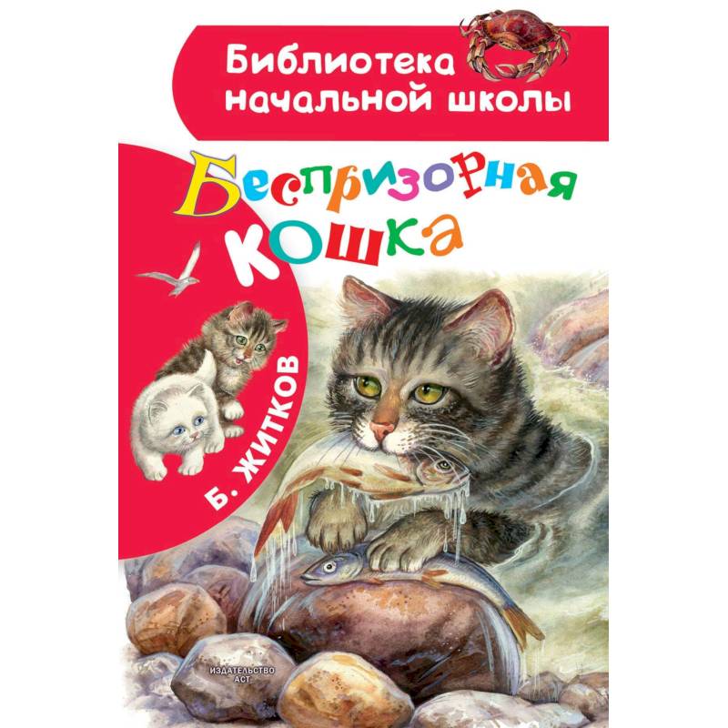 Беспризорная кошка