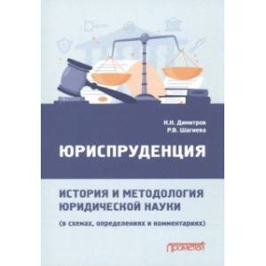 Юриспруденция. История и методология юридической науки. В схемах, определениях и комментариях