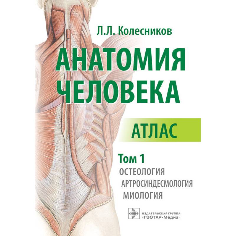 Анатомия человека. Атлас в 3-х томах. Том 1. Остеология, артросиндесмология, миология