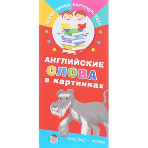 Английские слова в картинках