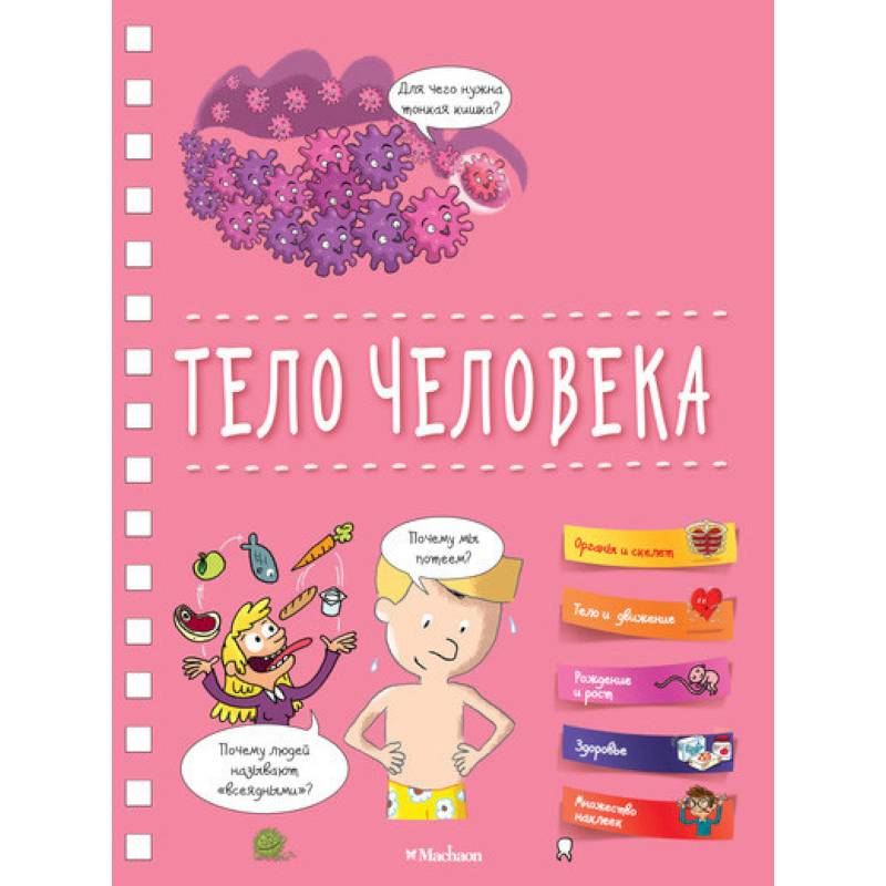 Тело человека