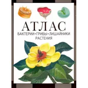 Атлас. Бактерии, грибы, лишайники, растения
