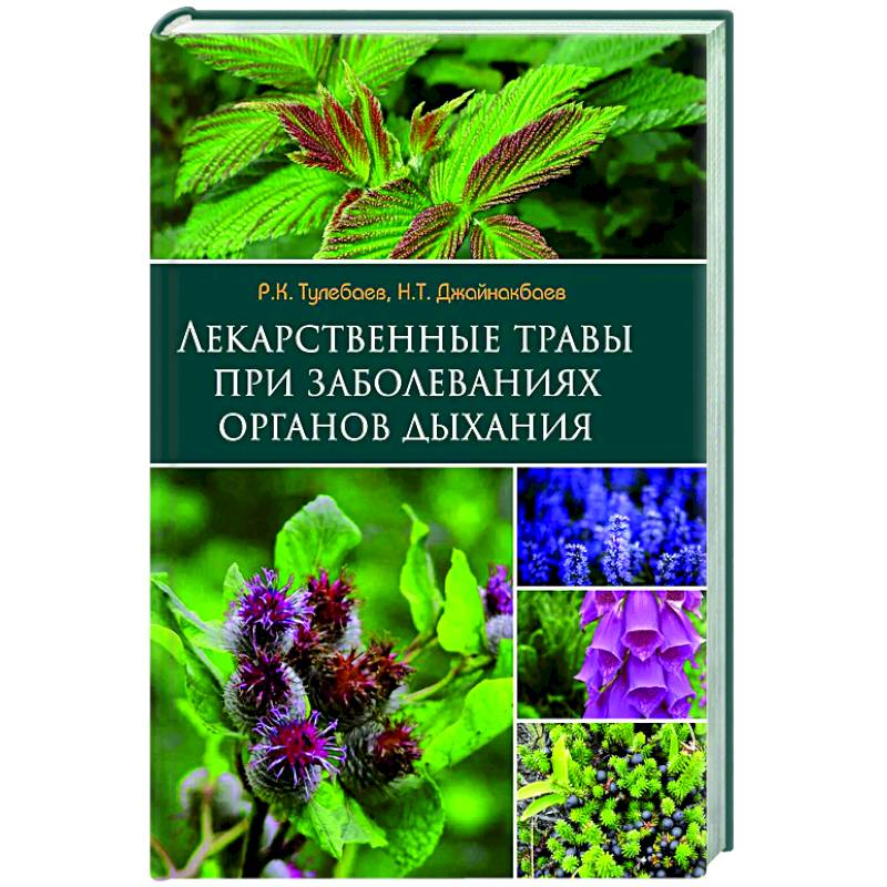 Лекарственные травы при заболеваниях органов дыхания