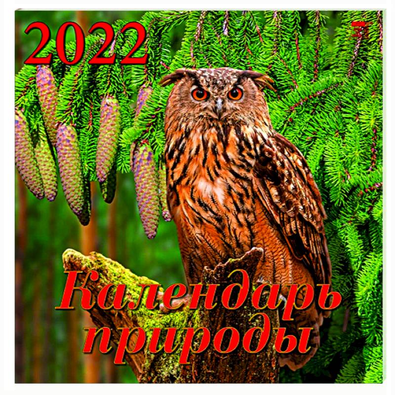 Календарь на 2022 год 'Календарь природы' (70208)
