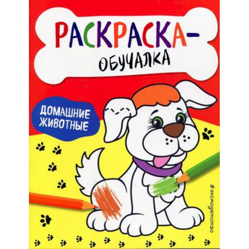 Домашние животные