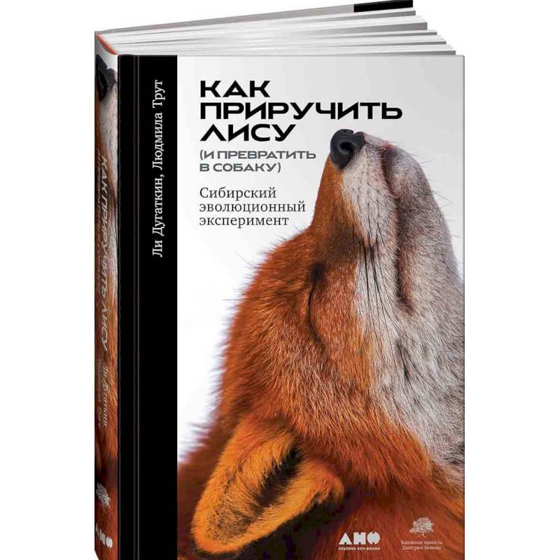 Как приручить лису (и превратить в собаку). Сибирский эволюционный эксперимент