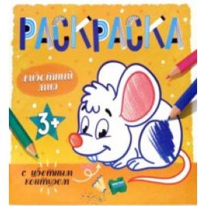 Раскраска с цветным контуром ЖИВОТНЫЙ МИР (53661)