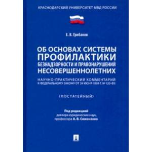 Научно-практический комментарий к ФЗ «Об основах системы профилактики безнадзорности...'
