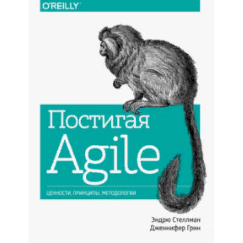 Постигая Agile. Ценности, принципы, методологии