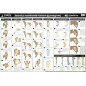 Плакат 'Техника наложения повязок' (в тубусе)