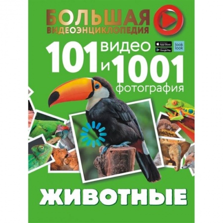 Животный и растительный мир, книга Животные. 101 видео и 1001 фотография купить по скидке