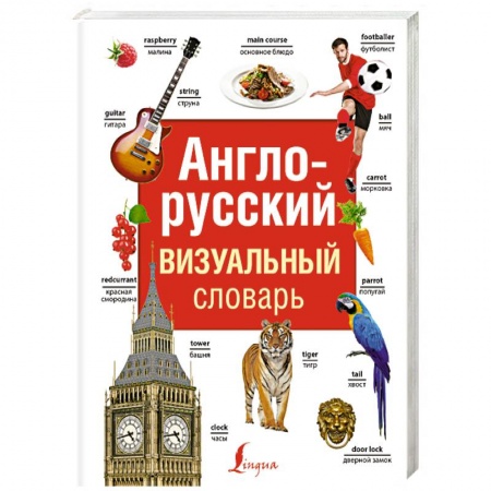 Словари, книга Англо-русский визуальный словарь купить по скидке