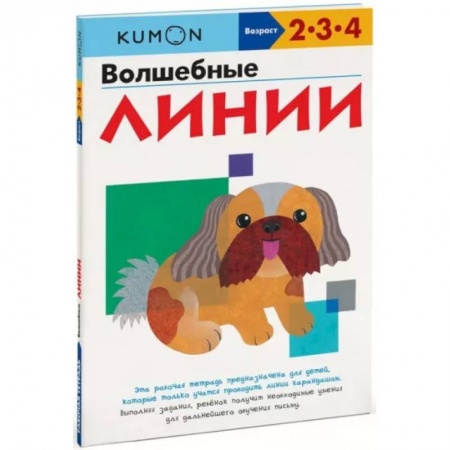 Общая подготовка к школе, книга Волшебные линии купить по скидке