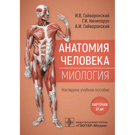 Анатомия и физиология человека, книга Анатомия человека. Миология. Карточки. Наглядное учебное пособие купить по скидке