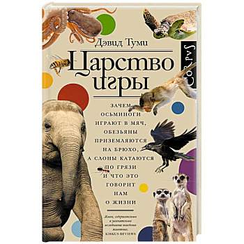 Царство игры