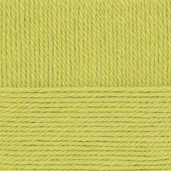 Народная традиция. Цвет 37-Липа. 10x100 г.