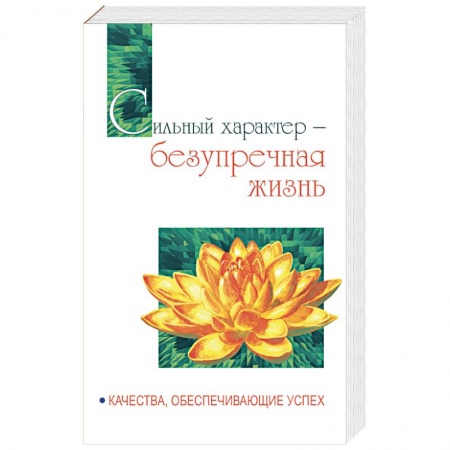 Практическая психология, книга Сильный характер - безупречная жизнь. Качества, обеспечивающие успех купить по скидке