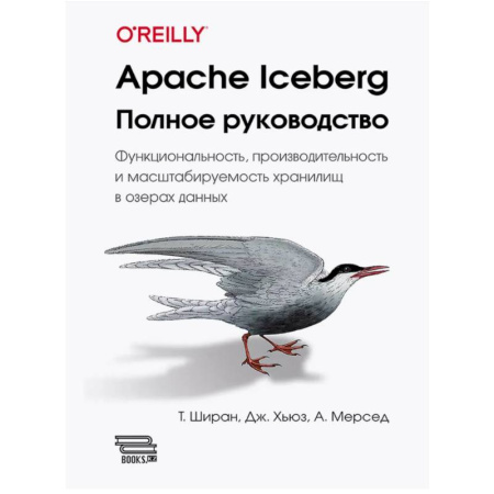 Разработка приложений для баз данных, книга Apache Iceberg. Полное руководство купить по скидке