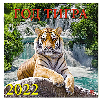 2022 Календарь Год тигра