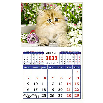 Календарь Год кота. Пушистый красавчик на 2023 год