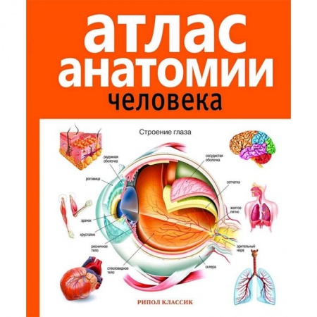 Биологические науки. Анатомия, книга Атлас анатомии человека купить по скидке