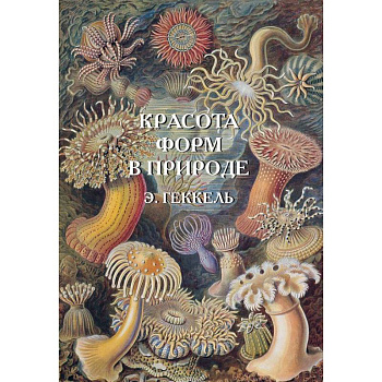 Красота форм в природе