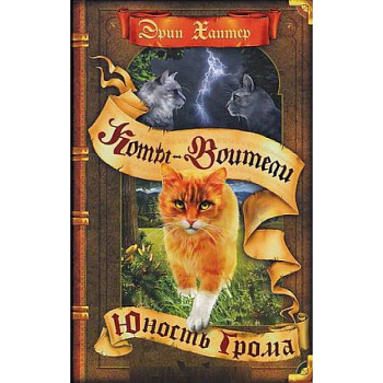 Юность Грома