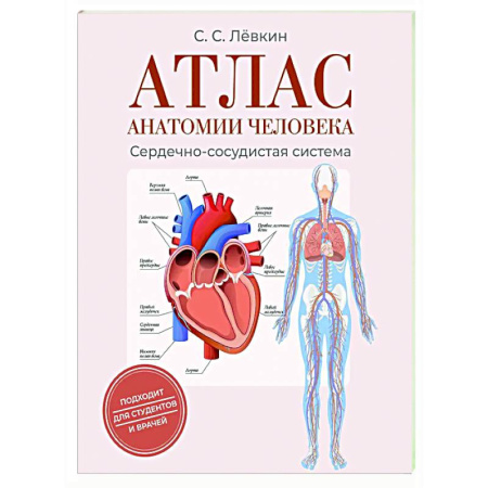 Анатомия и физиология человека, книга Атлас анатомии человека. Сердечно-сосудистая система купить по скидке
