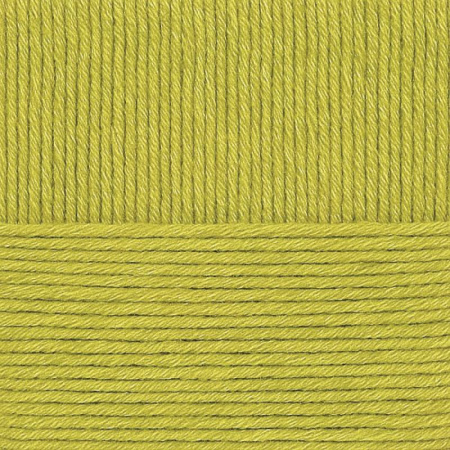 Зимняя премьера. Цвет 342-Св.горох. 10x100 г.