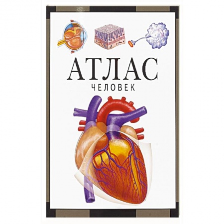 Общие справочники, книга Атлас.Человек купить по скидке