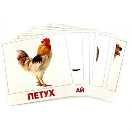 Знакомство с миром, развитие малыша, книга Домашние животные купить по скидке