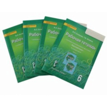 Русский язык 6кл [Рабочая тетрадь] Комплект 4ч