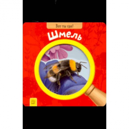 Знакомство с миром, развитие малыша, книга Вот ты где! Шмель купить по скидке