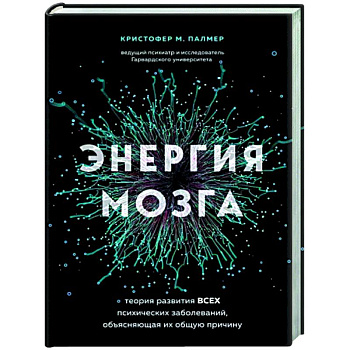 Энергия мозга. Теория развития всех психических заболеваний, объясняющая их общую причину