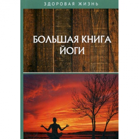 Йога и другие духовные практики, течения, книга Большая книга йоги купить по скидке