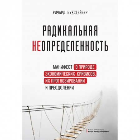 Общая экономика, книга Радикальная неопределенность. Манифест о природе экономических кризисов, их прогнозировании купить по скидке
