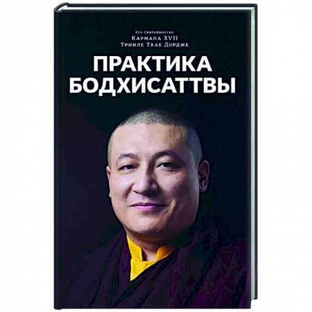 Религии мира, книга Практика Бодхисаттвы купить по скидке