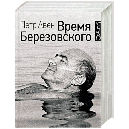 Мемуары, биографии бизнесменов, книга Время Березовского купить по скидке